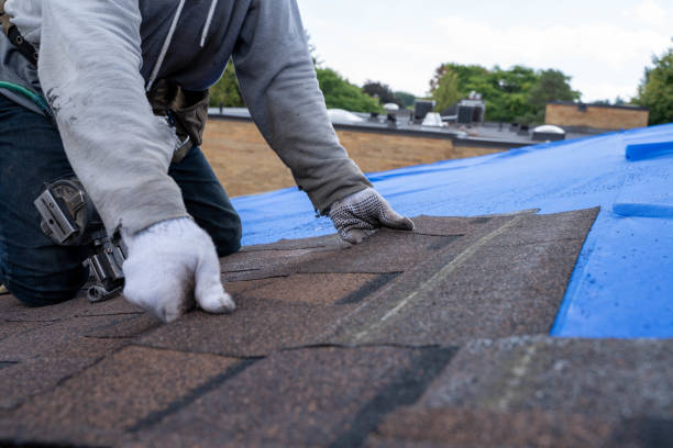 Best Shingle Roofing Installation  in Middletown, MD